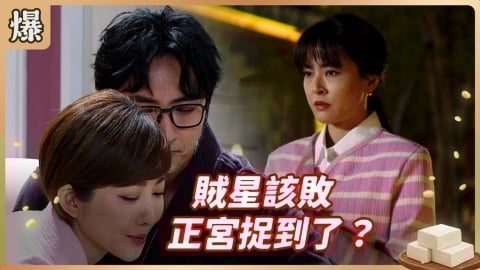 《豆腐媽媽-EP14精彩片段》賊星該敗 正宮捉到了？