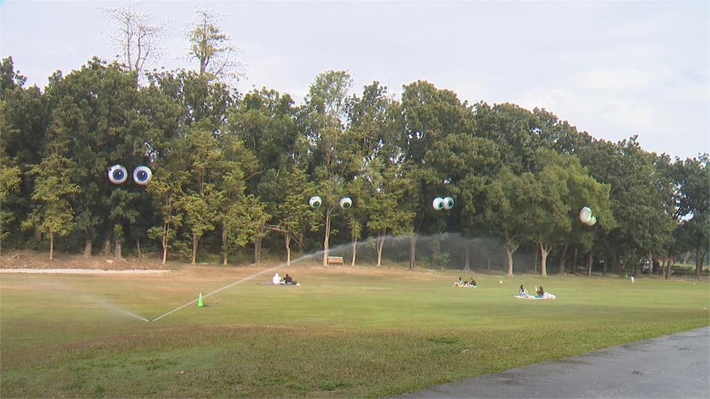 高雄果嶺公園出現「4對大眼」 民眾直呼:像台灣的眼睛