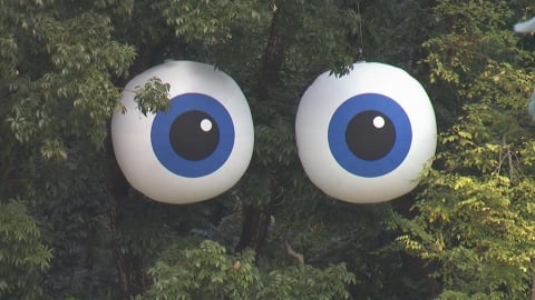 高雄果嶺公園出現「4對大眼」　民眾直呼：像台灣的眼睛