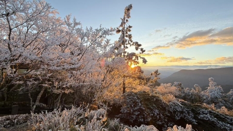 水氣不足！宜蘭太平山未下雪　霧淞美景曝光了