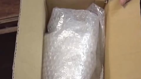 小心「保麗龍、氣泡紙」丟錯恐罰6千元！環保局授「正確分類步驟」一次看