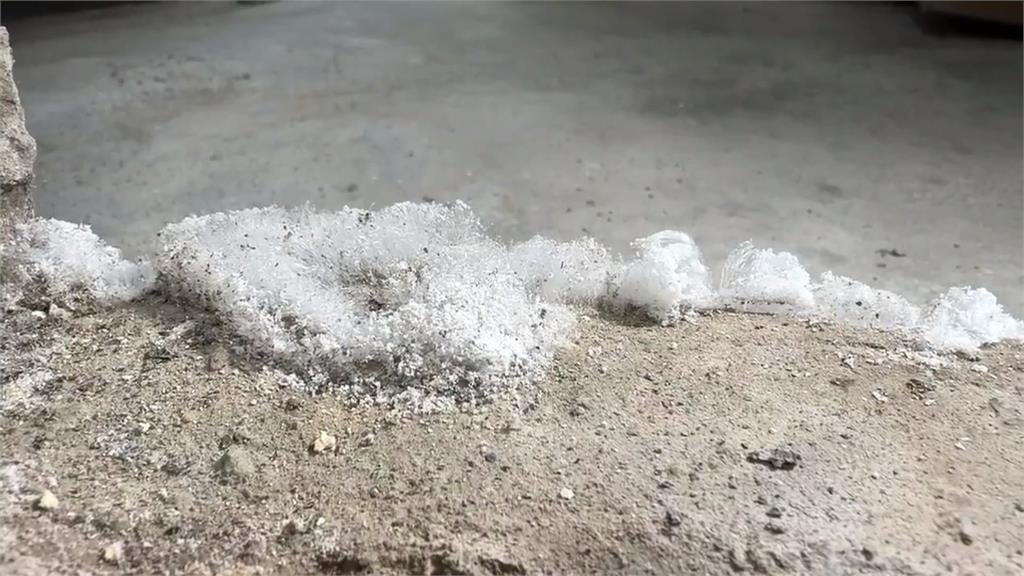 冷到冒白團？　彰化鹿港百年古厝現「凍霜」疑雲