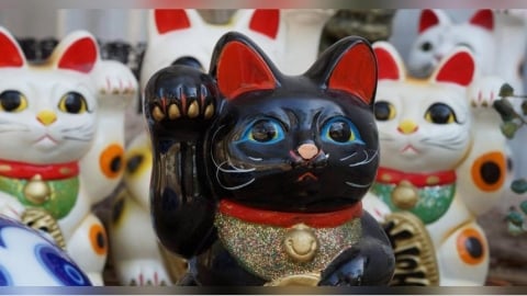 2026大寒財運爆棚！這5星座、5生肖最旺　紅包一路發到元宵