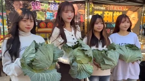 天冷!妖姬舞團包緊緊 免費發高麗菜現人龍