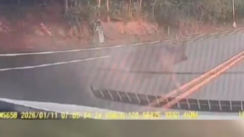 彰化多起"水鹿"撞車當場肇逃 苦主無奈求償無門