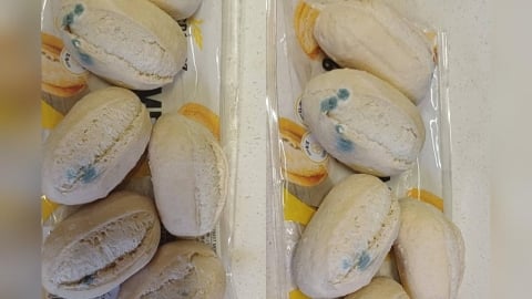 好市多半熟軟法「買回家都是霉」！會員PO噁照掀論戰