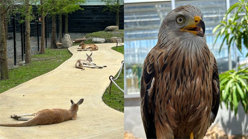 蘭陽動植物王國曝「簡體字」設備！網友怒嗆：支持台灣文字有這麼難嗎？