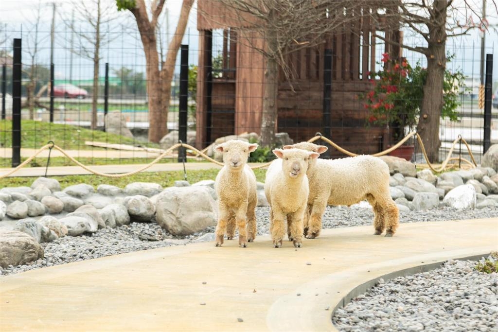 蘭陽動植物王國曝「簡體字」設備！網友怒嗆：支持台灣文字有這麼難嗎？