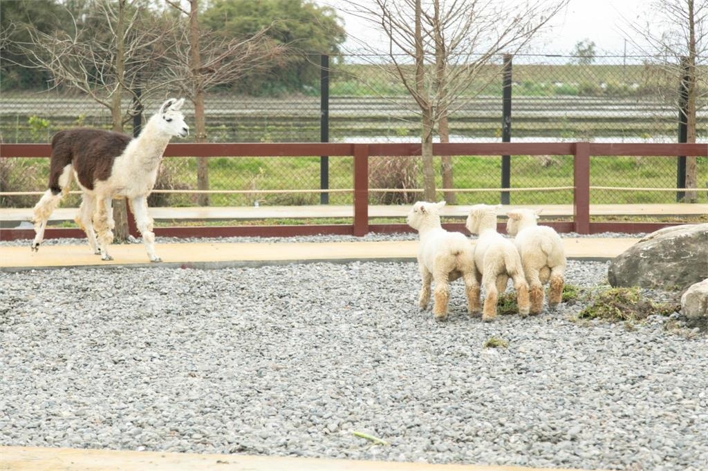 蘭陽動植物王國曝「簡體字」設備！網友怒嗆：支持台灣文字有這麼難嗎？