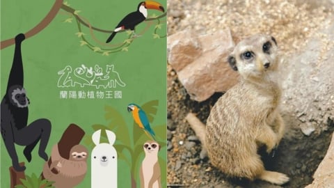 宜蘭親子景點「驚見簡體字」設備！遭網炎上「園方曝原因」：馬上改