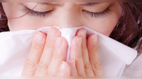 鼻塞吸薄荷棒有用嗎？　醫曝「只是大腦錯覺」：能讓人「感覺」好過一點