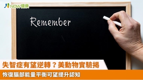 失智症有望逆轉？美動物實驗揭 恢復腦部能量平衡可望提升認知