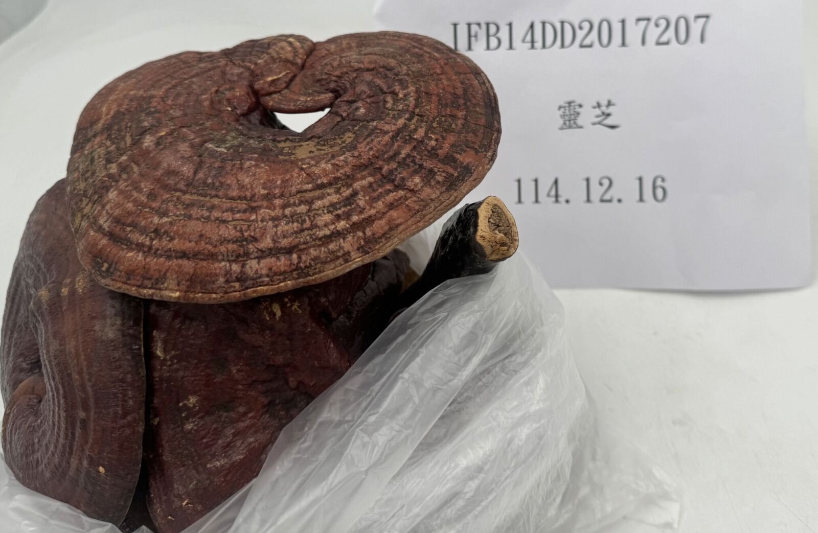 食不安！4424公斤印尼「木薯餅」違添甜味劑 中國「靈芝」也爆農藥 16