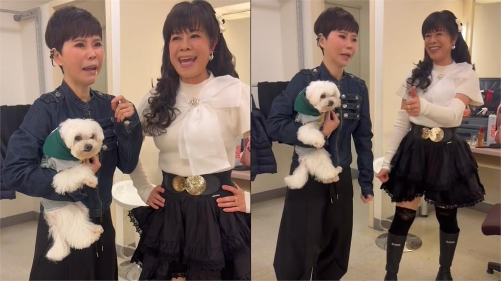  台語歌后挑戰跨年神曲《羊咩咩》！「拜師」求學卻變崩潰現場：我好像馬