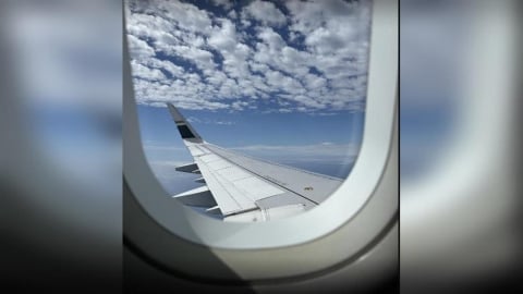 買機票前先看！2026全球最安全航空公司排名出爐　台灣2家上榜