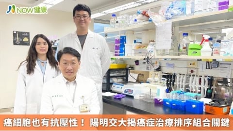 癌細胞也有抗壓性! 陽明交大揭癌症治療排序組合關鍵