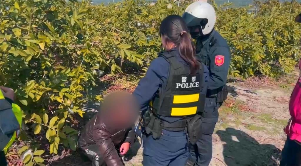 芭樂價飆頻失竊！　中部一斤85-95元 北部市場達150元