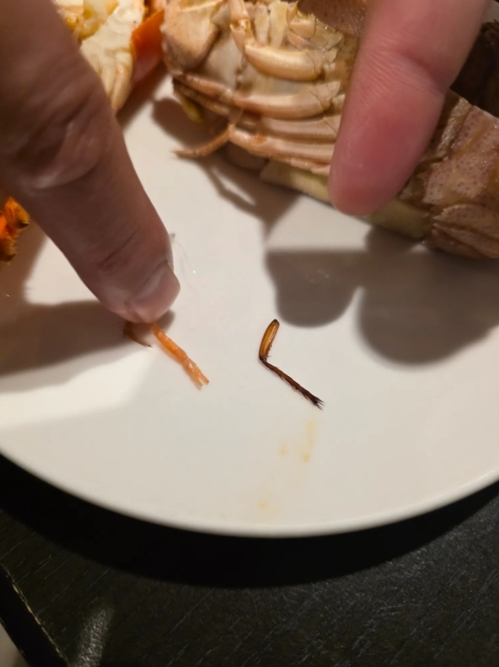 情侶吃Buffet竟「咬到整隻蟑螂腳」！主廚狂跳針喊「是蝦子腳」超噁對比圖曝光