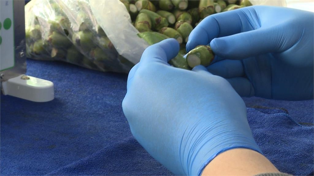 53歲男輕忽「嘴破3個月沒好」竟罹口腔癌！醫示警：超過2週未癒即是警訊