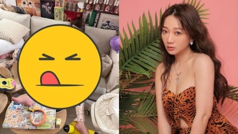 二寶媽日常「沙發邊睡邊哺乳」畫面曝…《黑澀會》女星：每天都這樣奮戰