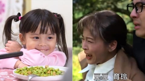 蘇晏霈《豆腐媽媽》喊到聲嘶力竭　喚不回豆豆？眼尖網友揪「1細節」鬆口氣
