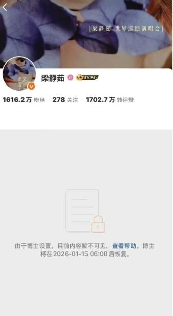 〈可惜不是你〉遭封禁爆惹怒習？梁靜茹微博關7天「驚人變化」再掀議