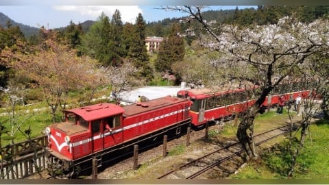 阿里山賓館2026房價曝光！「最貴一晚4.5萬」　網驚：以為是越南盾