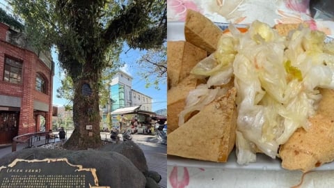 臭豆腐聞著臭、吃得補？名醫激推4吃法打臉「不健康迷思」