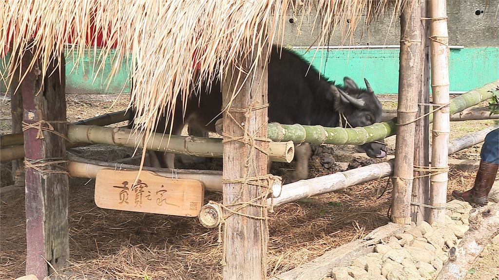 新北市社區規劃師成果發表會　展現公私協力推動環境改善