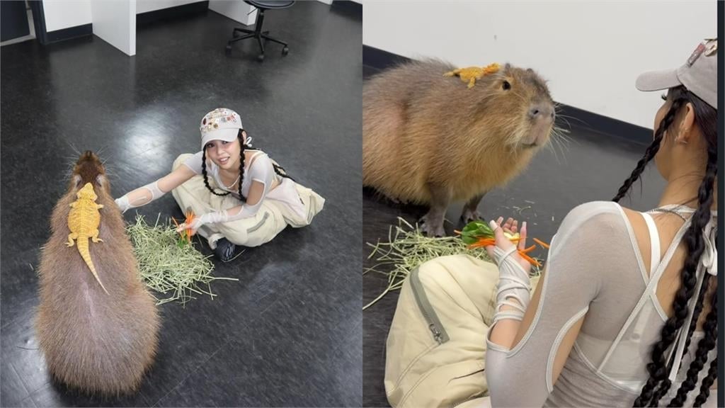 Jennie慶生騎「水豚君」現身東京巨蛋！反差萌造型網直呼：人間卡皮巴拉