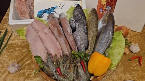 花蓮區漁會助漁業復甦　推出年節漁產禮盒助買氣