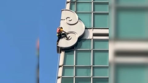 攀岩之神Alex練爬台北101　目擊者驚：以為在修理！