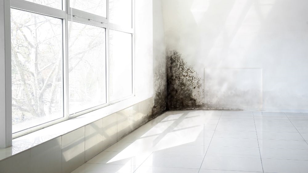 為什麼許多人偏好「坐北朝南」?從居住採光談環境條件與身體感受的關聯