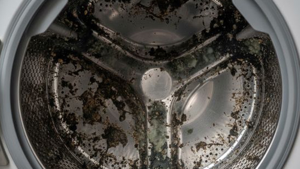 冬季洗衣機容易產生異味？專家解析三種低溫潮濕下的常見清潔問題