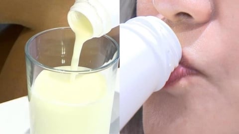 牛奶「全脂低脂」差很多?醫破解心血管風險「1迷思」多吃這類是關鍵