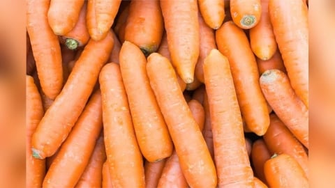 《黑白大廚》紅蘿蔔地獄掀熱潮！中醫揭「吃錯等於白吃」：吸收率差 9 倍