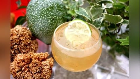 愛玉化身冬日暖心甜點！搭配桂圓、紅棗這樣吃