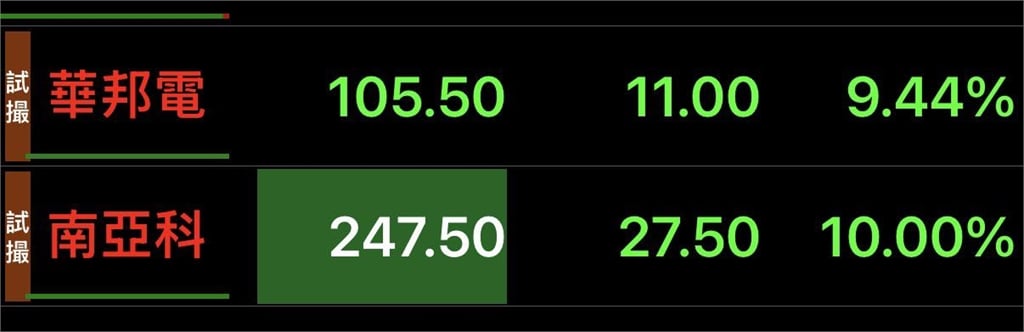 全台賺錢她獨虧！反指標女神「持2檔慘跌停」一片綠油油賠爛氣炸：不玩了