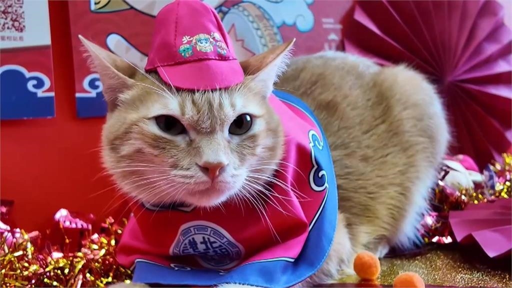 高雄捷運攜手北港朝天宮　蜜柑站長「虎袍加身」亮相