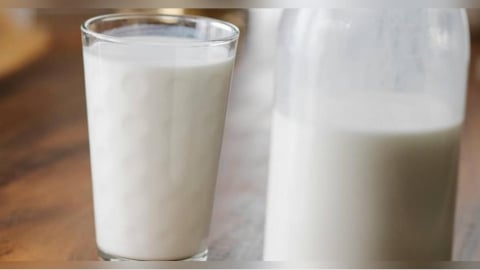 牛奶要喝全脂還低脂？醫師破解傳統飲食迷思：我都喝這種