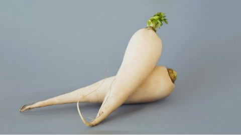 白蘿蔔燉湯太浪費！營養師揭「關鍵3吃法」啟動防癌功效