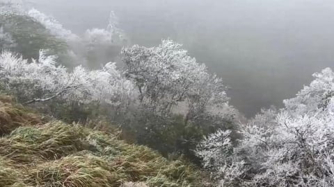 最冷節氣「大寒」來襲！命理專家授「5開運養生撇步」喜迎農曆新年