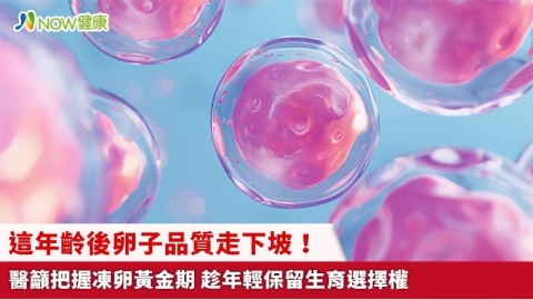 這年齡後卵子品質走下坡！醫籲把握凍卵黃金期 趁年輕保留生育選擇權