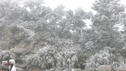 強烈大陸冷氣團發威　苗栗以北10縣市「低溫橙燈」