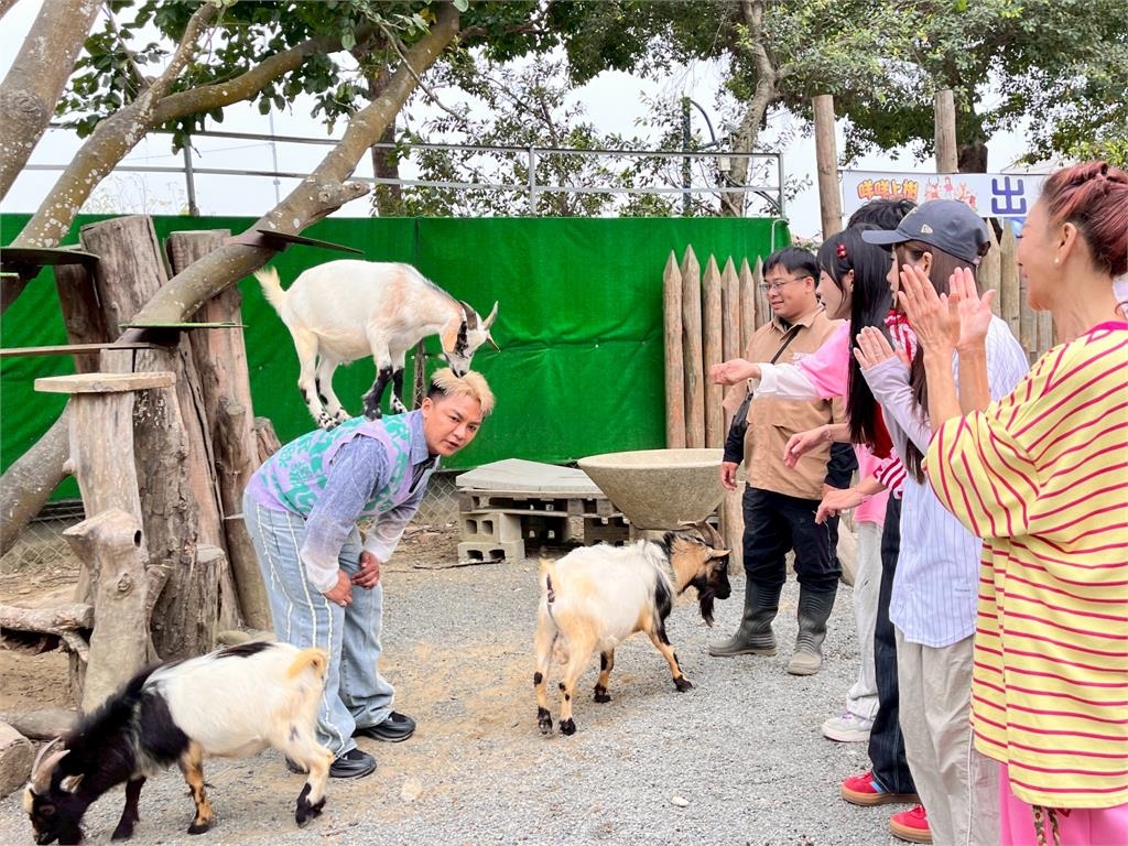 參觀動物園！楊繡惠驚呼「活到60歲第一次知道烏龜在傳宗接代竟然會有聲音！」