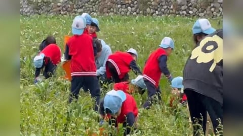 台東"千人蘿蔔季"月底登場 北市幼兒體驗拔蘿蔔