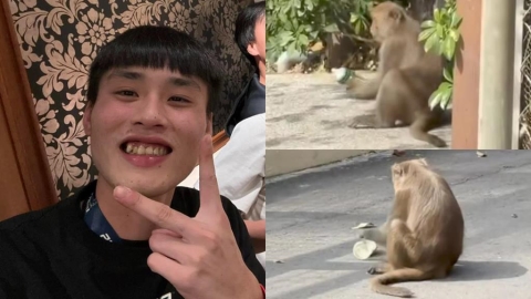 中職(影)/超嘴!張政禹奶瓶遭猴子搶走PO網還被郭天信嗆「族群內鬥」 全網笑翻