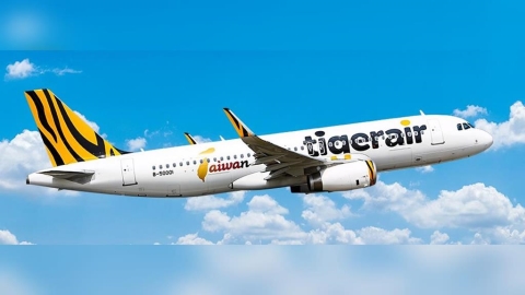 虎航年終平均10.6個月!全體加薪5.3% 去年業績再創新高