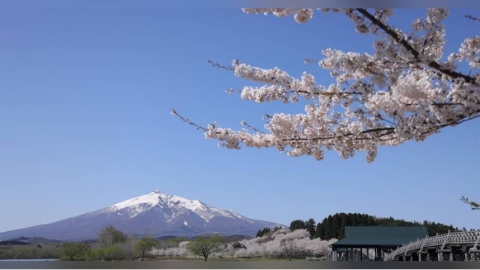 日本人超愛！她送「古早味零食」狂被讚　一票人共鳴：配藥吃超幸福