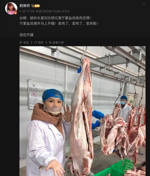 爆破產「賣肉還債片」流出！女星舔共10年竟轟：台灣70%人住農村